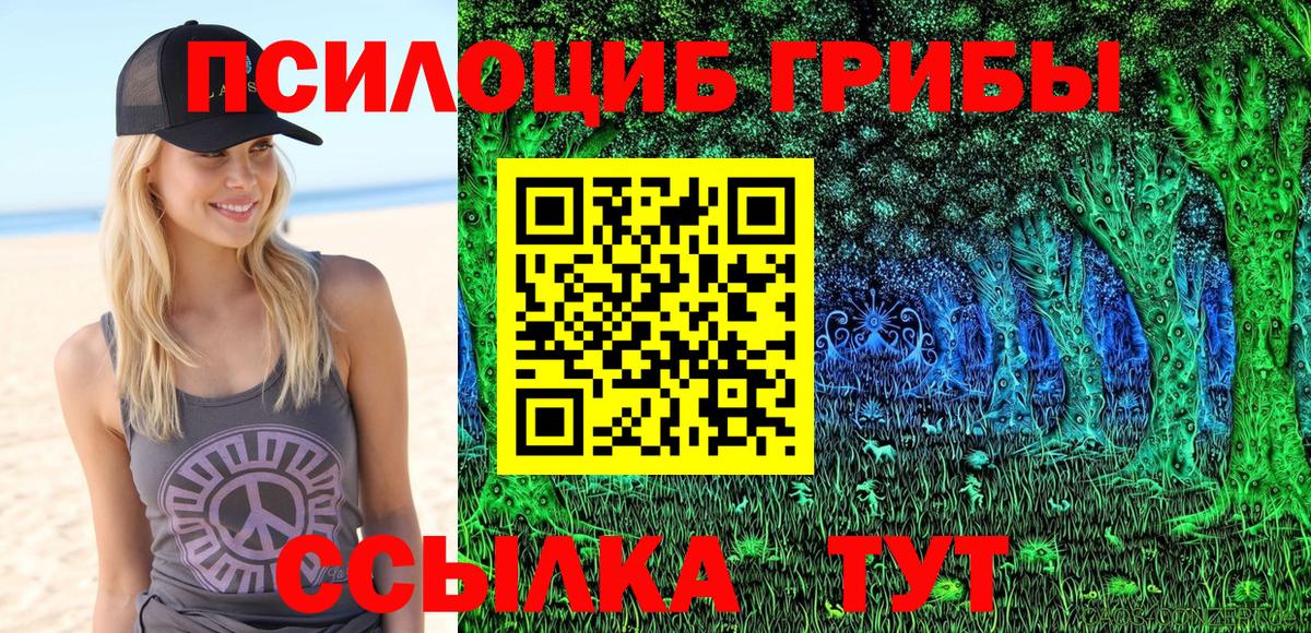 Галлюциногенные грибы MAGIC MUSHROOMS Калуга