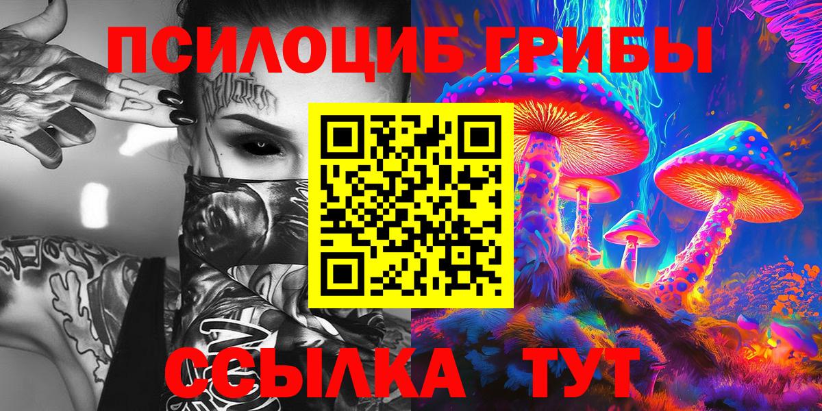 Калуга  Галлюциногенные грибы Cubensis  Вход с VPN 